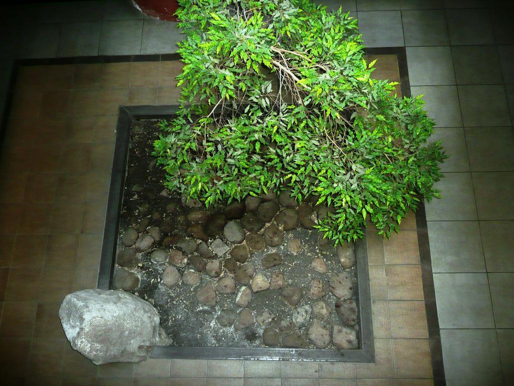 Like Home Apartments - 2 Rooms With Balcony Vilnius Luaran gambar
